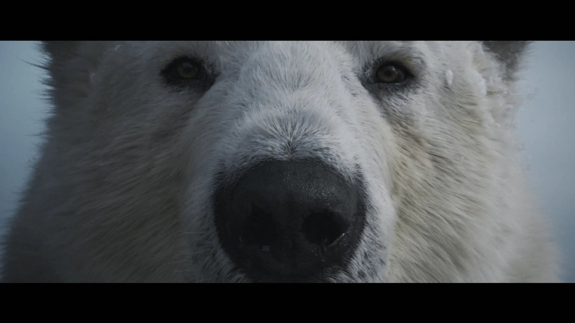 Wick – Epic Breath — film still